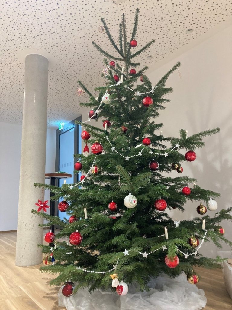 Nachhaltiger Weihnachtsbaum in der Geschäftsstelle Stadtbergen