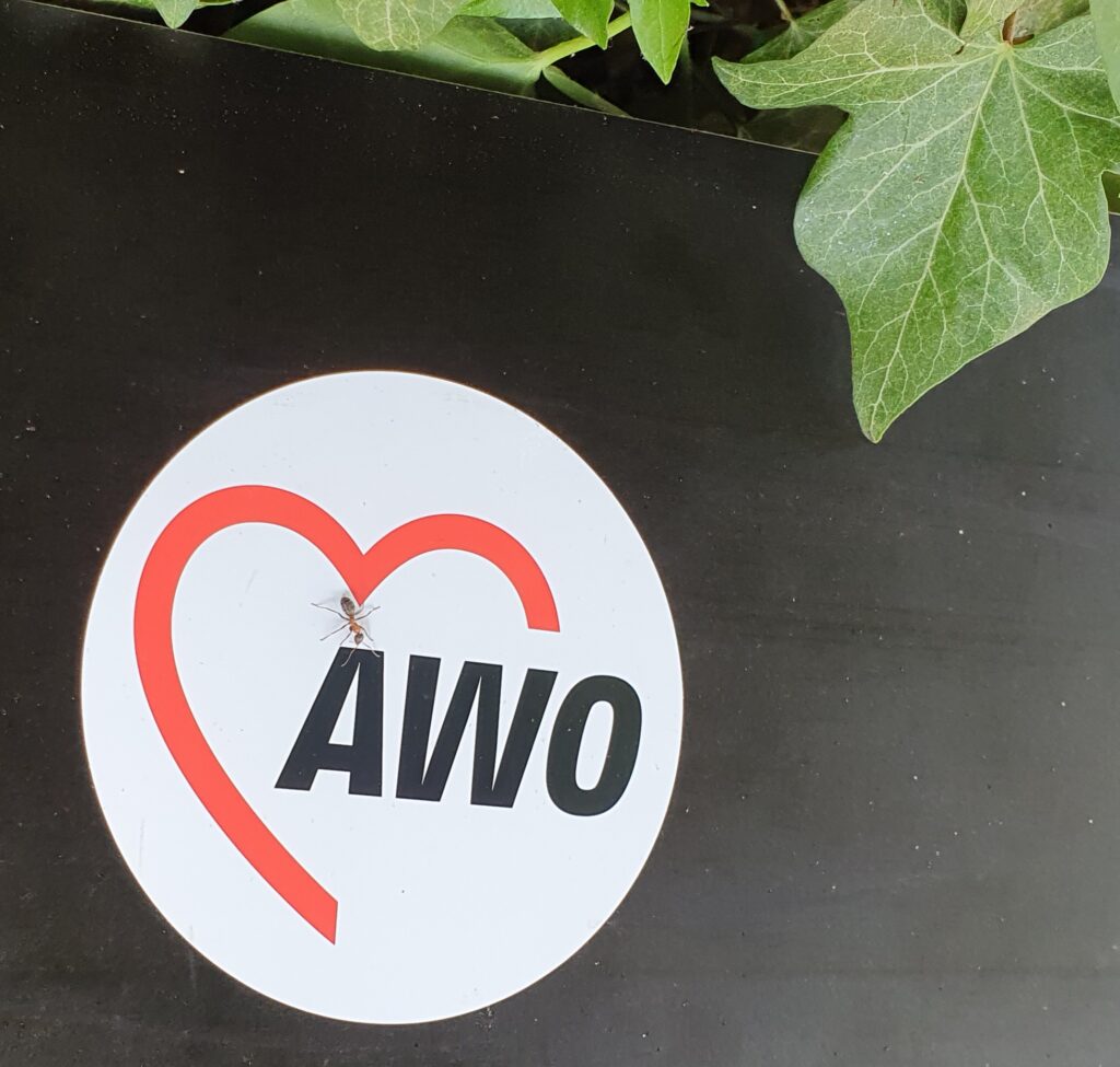 Eine Ameise krabbelt über das gedruckte AWO Logo