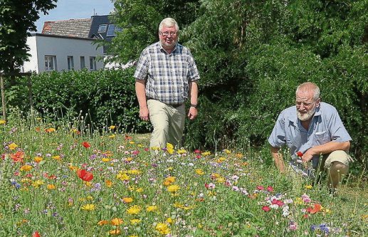 Der Einrichtungsleiter Ludger Moor und der Bergkamener „Wildblumenwiesenentwickler“ Wilhelm Schulte-Ostermann prüfen die Fläche am Seniorenzentrum.